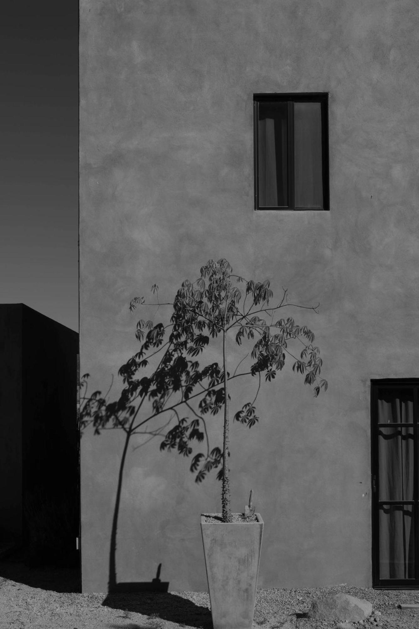 Casa Michaus Valle De Guadalupe Exteriör bild